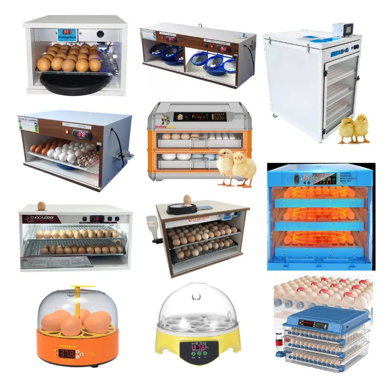 Controlador De Temperatura Coel Y39ohqr P/chocadeiras C/viragem de Ovos