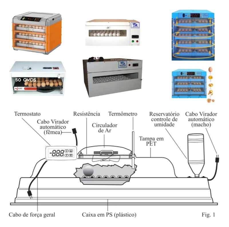 Controlador De Temperatura Coel Y39ohqr P/chocadeiras C/viragem de Ovos