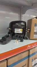 Compressor Tecumseh 1/4 HP R600a 110V TA1380M-DS1H