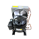 Unidade Condensadora Tecumseh 1/2 HP R404a 220V UAE2420Z-GS1B