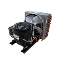 Unidade Condensadora Tecumseh 1/2 HP R404a 220V UAE2420Z-GS1B